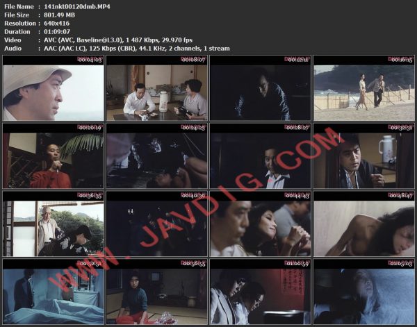 141nkt00120dmb.MP4