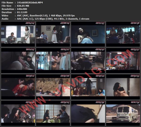 141nkt00202dmb.MP4