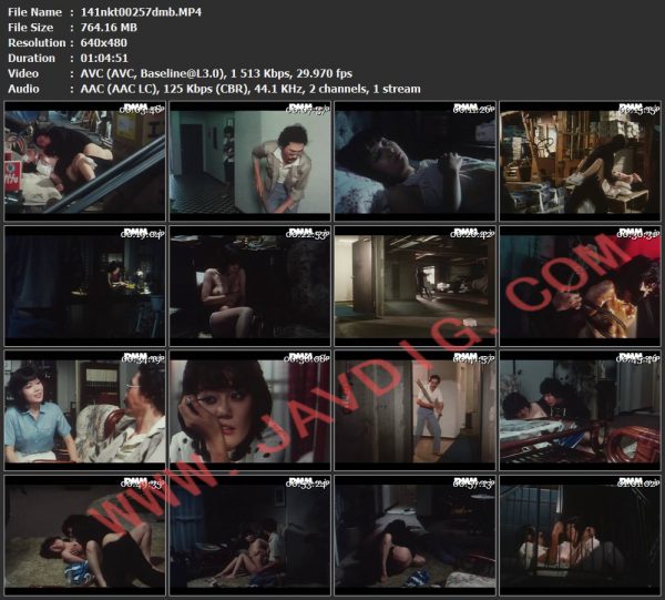 141nkt00257dmb.MP4